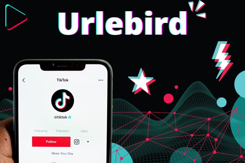 What is Urlebird? Anonymously Browse and Analyze TikTok Content