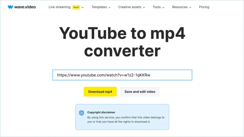 YouTube to MP4 Converter: Get High-Quality Downloads Instantly